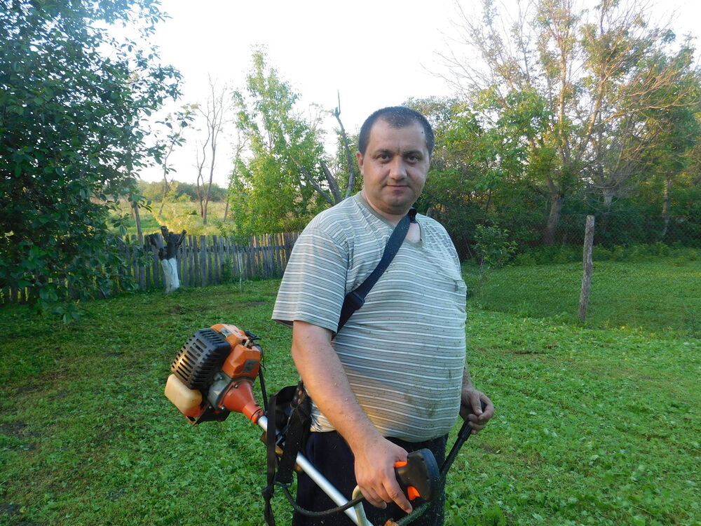   ,   , 43 ,   