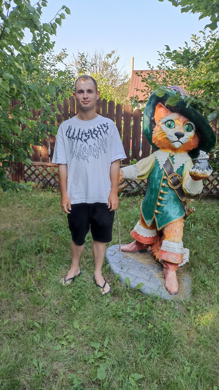  52917113  , 21 ,    