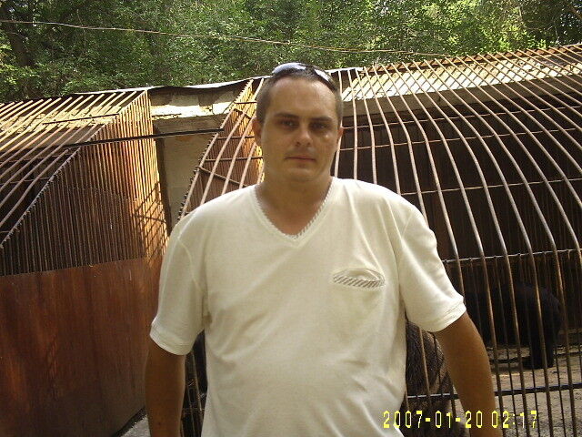  ,   , 43 ,   