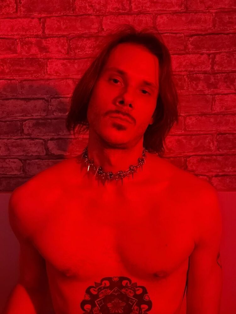  41408393  , 29 ,    -