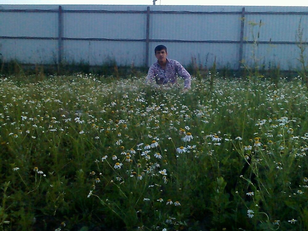 ���� 38004513 ������� �����, 35 ���, ���� ���������� � ������