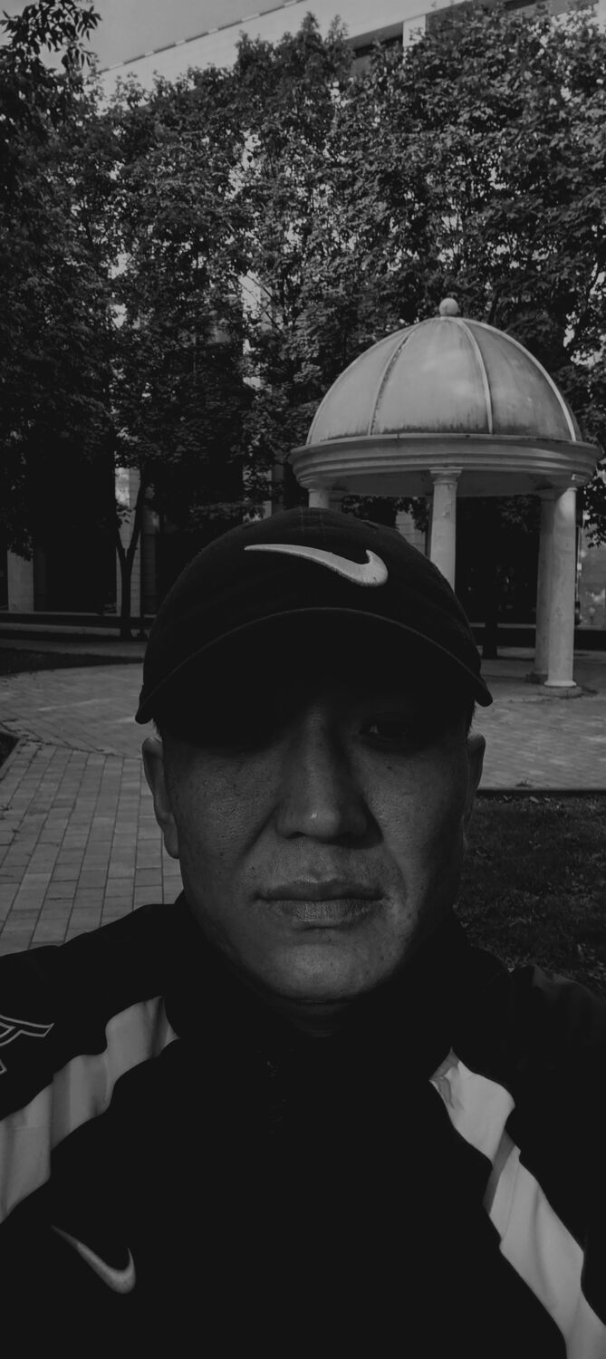  54382623  , 34 ,    -