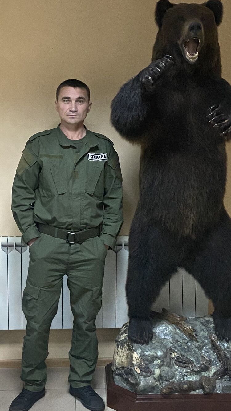 ���� 50303003 ������� �������, 43 ����, ���� ���������� � ������