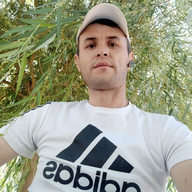 ���� 24076383 ������� Mustafo, 40 ���, ���� ���������� � ��������