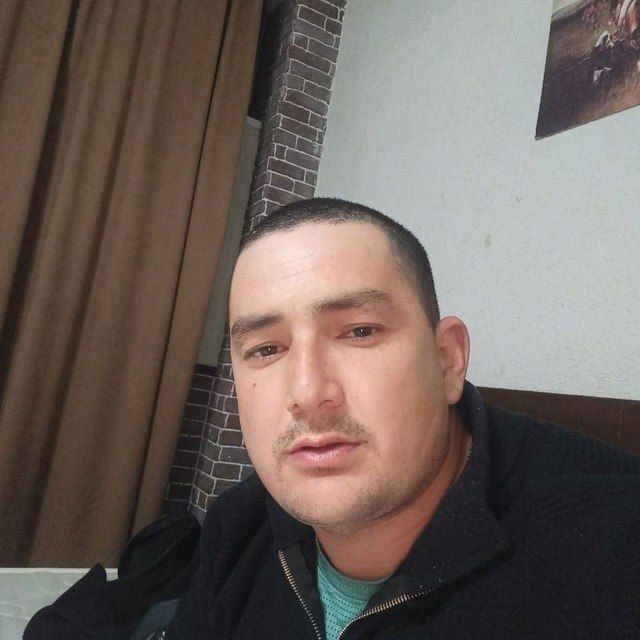  53957853  , 33 ,    