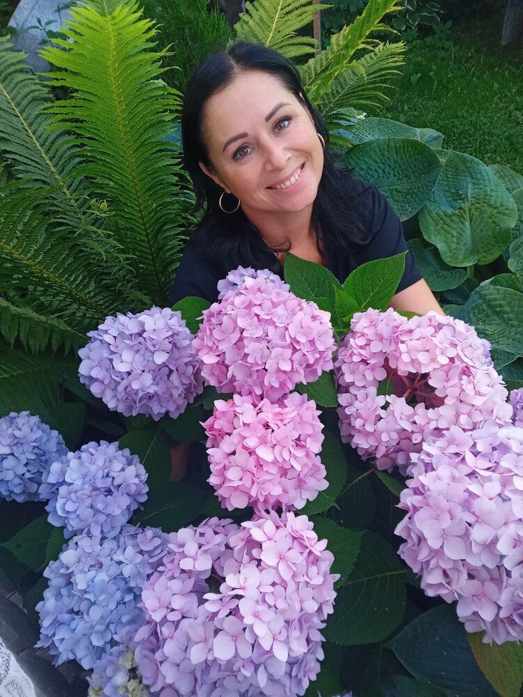 ���� 56238813 ������� ����, 43 ����, ���� ���������� � ������ ���������