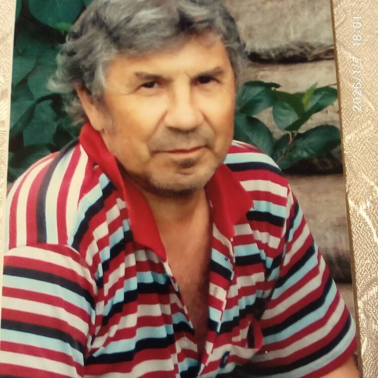 ���� 55206523 ������� �����, 66 ���, ���� ���������� � ��������