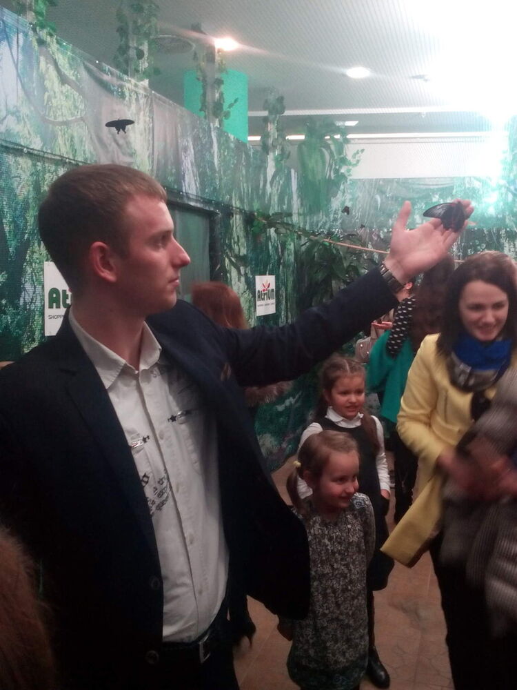 ���� 7838183 ������� ������, 32 ����, ���� ���������� � ��������