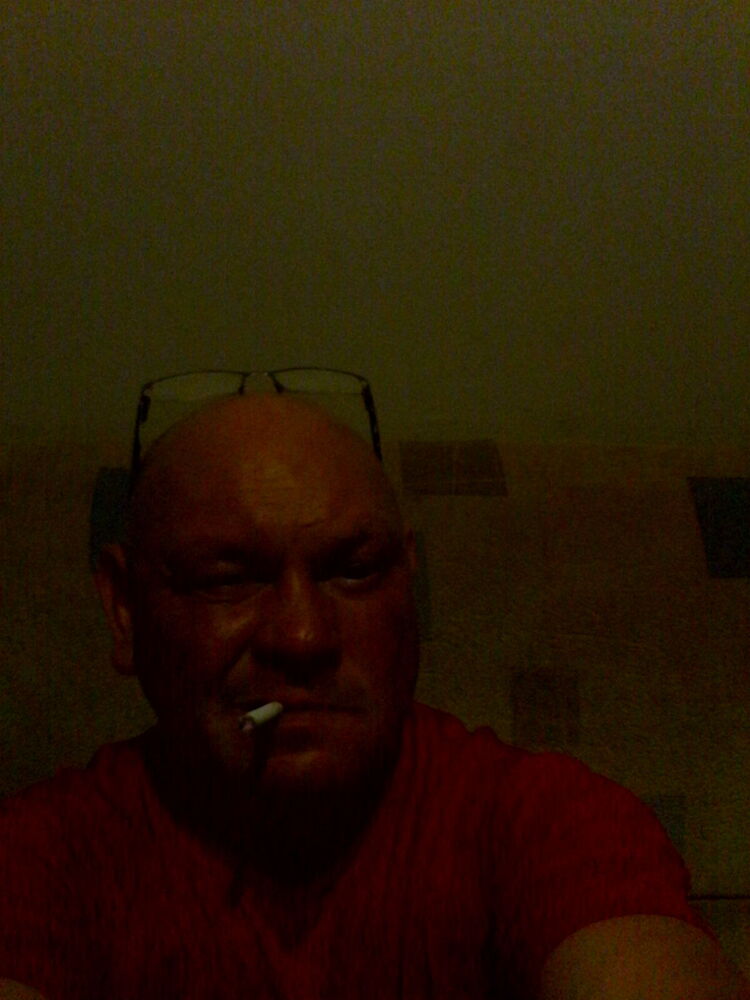  23541163  , 49 ,    