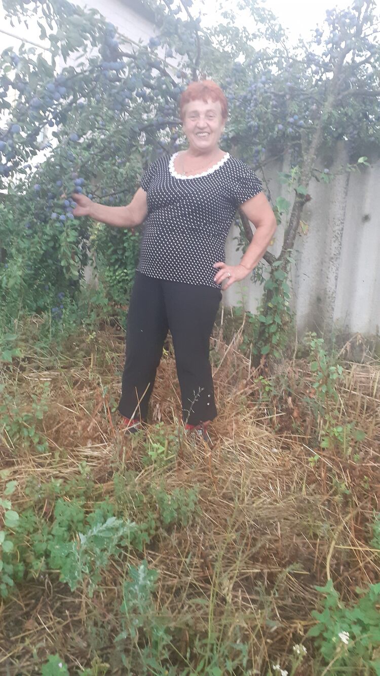  23703223  , 63 ,    