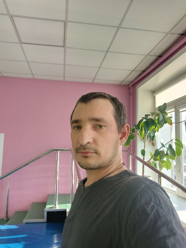  40695363  , 33 ,    -
