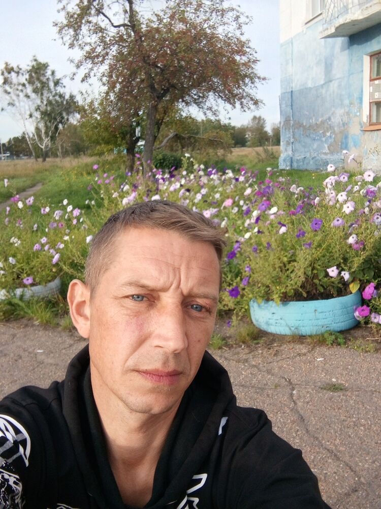  50429583  , 38 ,    -