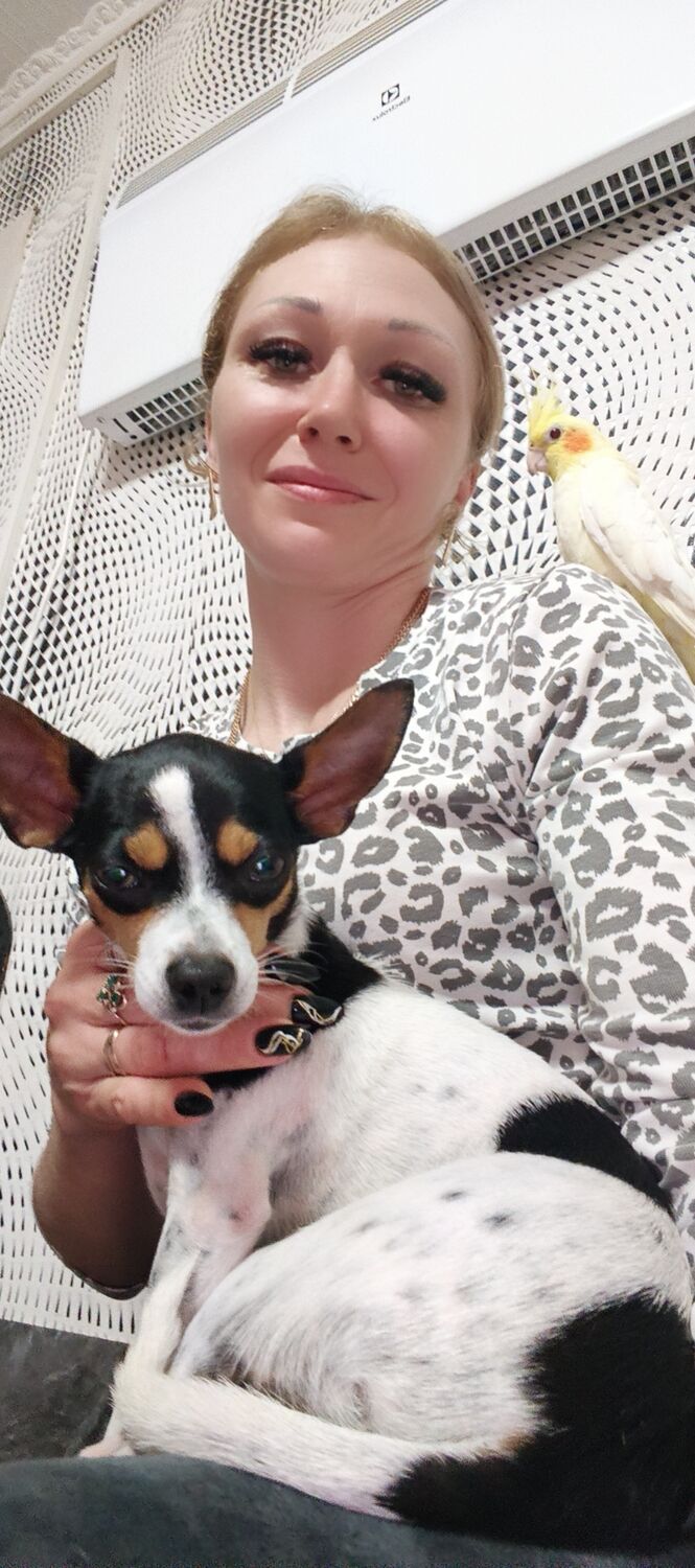 ���������� ���������, ���� ������� �����, 38 ���, ������������ ��� ���������