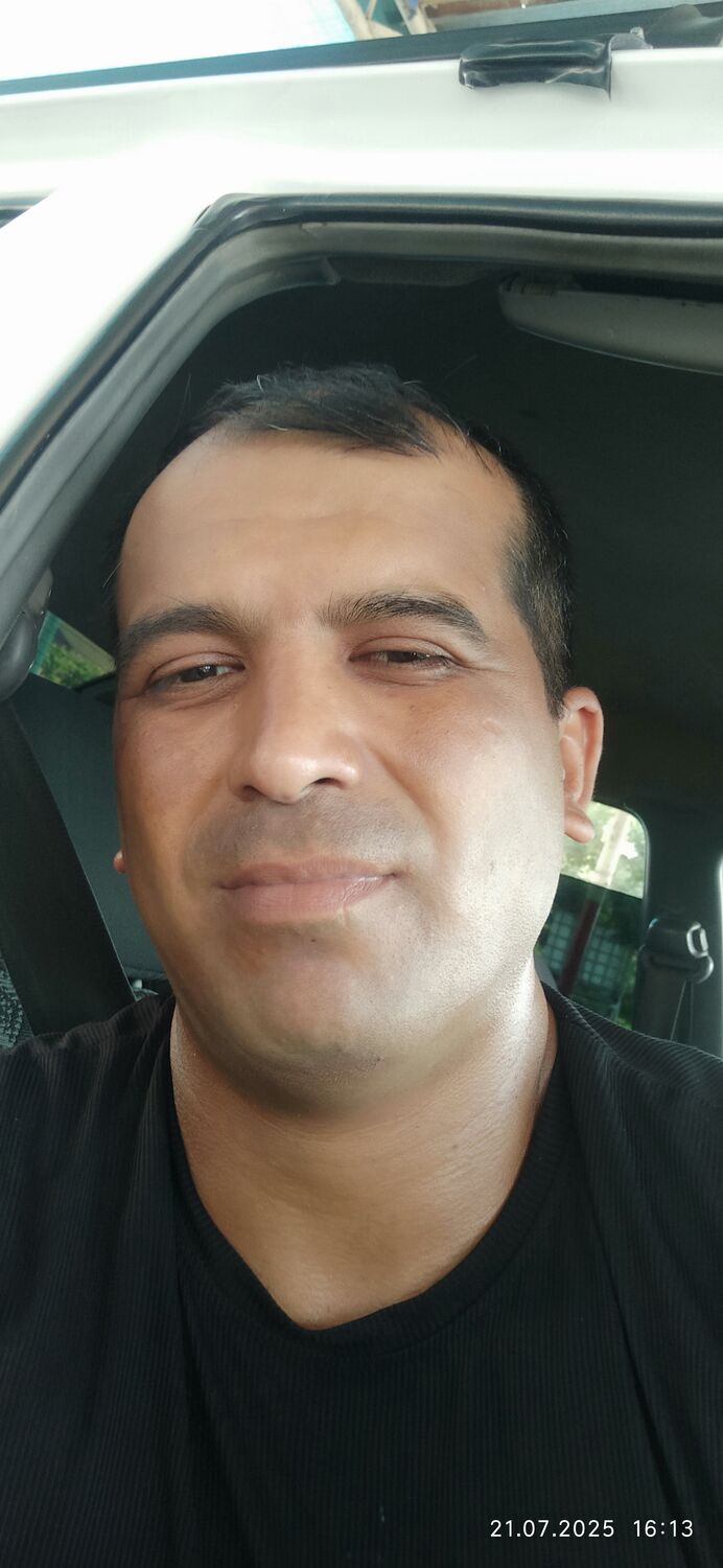  54531373  , 38 ,    -