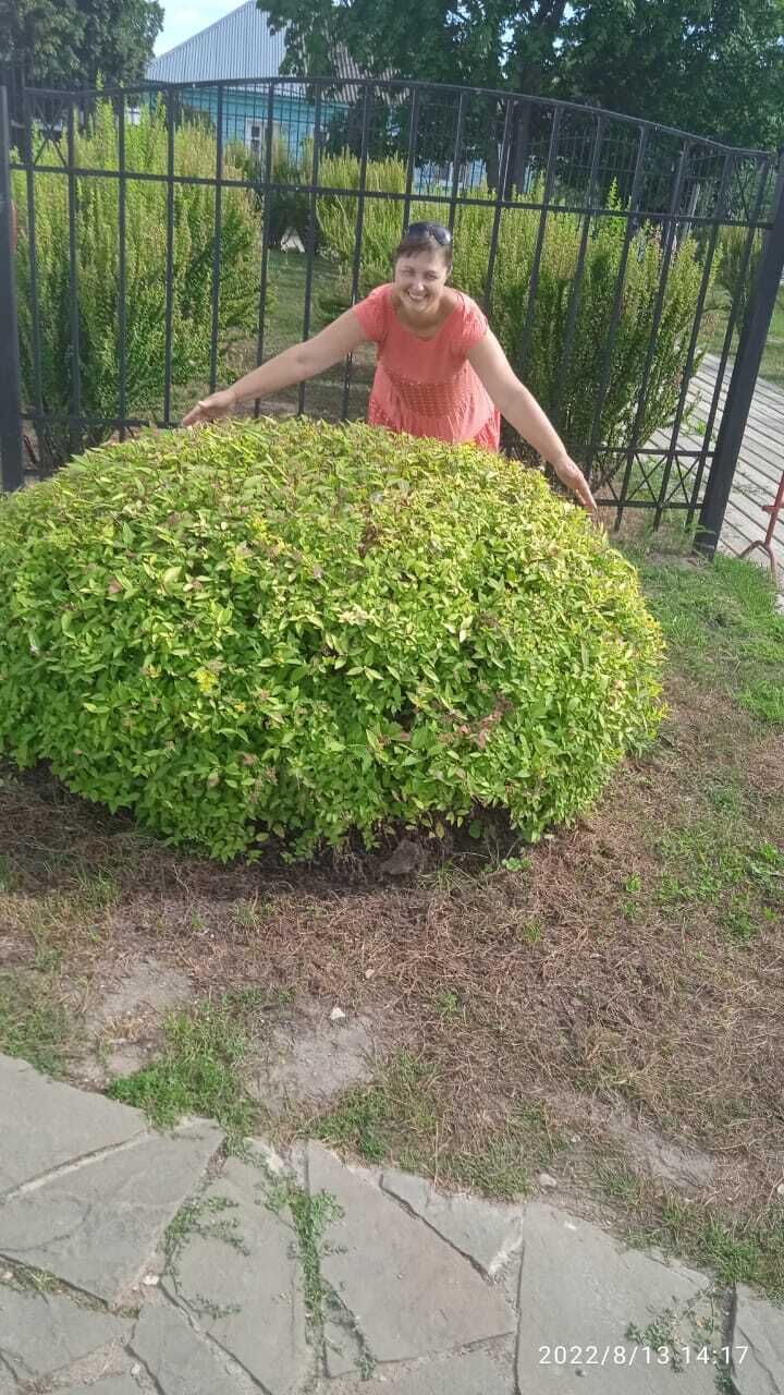  ,   , 44 ,     , c 