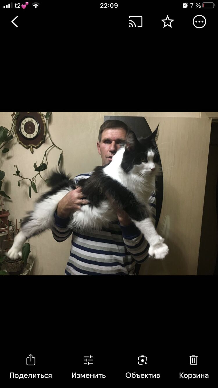  ,   , 60 ,   ,   