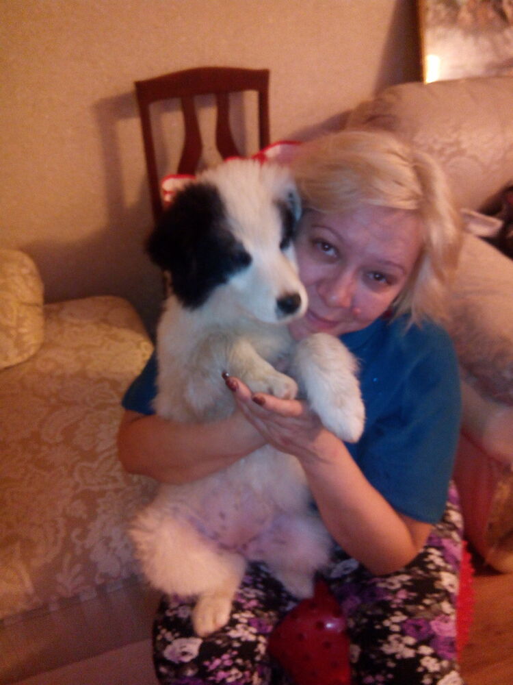 ���� 11541353 ������� ��������, 56 ���, ���� ���������� � ���