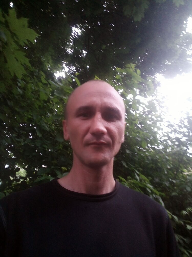  23020193  , 39 ,    
