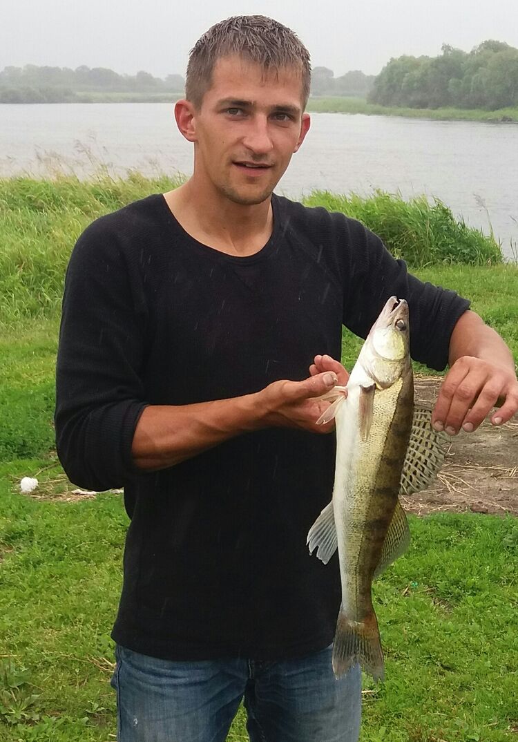 ���������� ������, ���� ������� ����, 38 ���, ������������ ��� ������, ����� � ���������