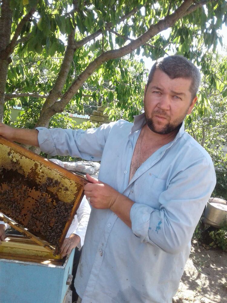 ���� 24907313 ������� ����, 40 ���, ���� ���������� � ���������