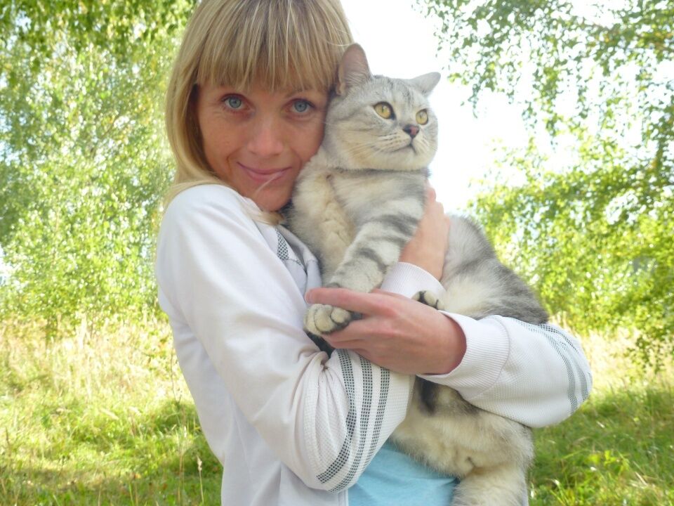 ���� 55921913 ������� ������, 40 ���, ���� ���������� � ��������