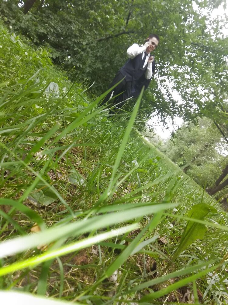  20415433  , 33 ,    -