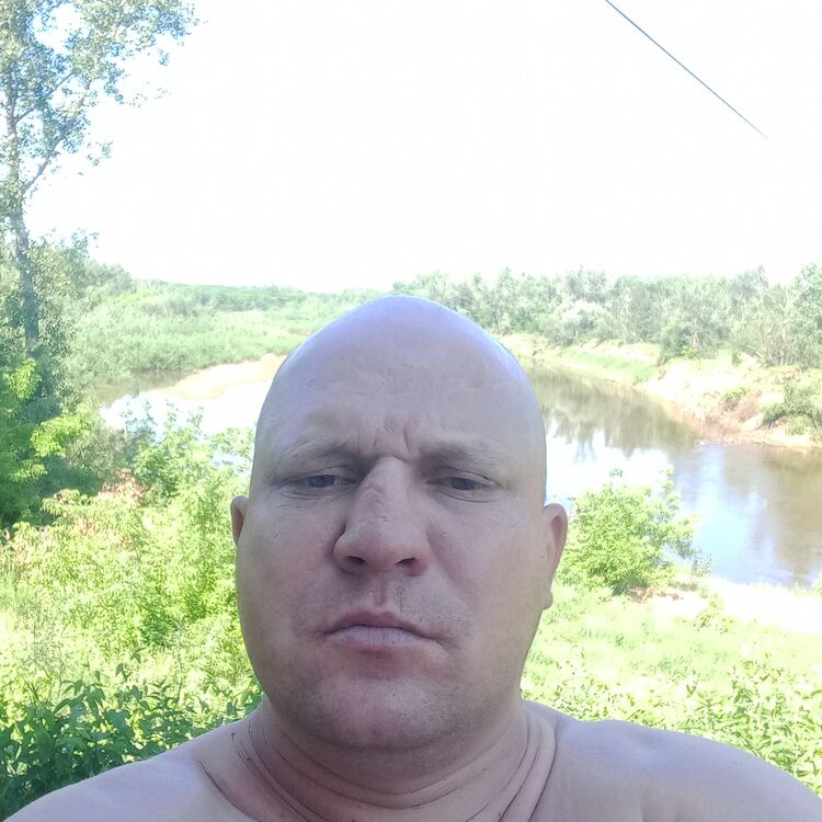  48265423  , 38 ,    