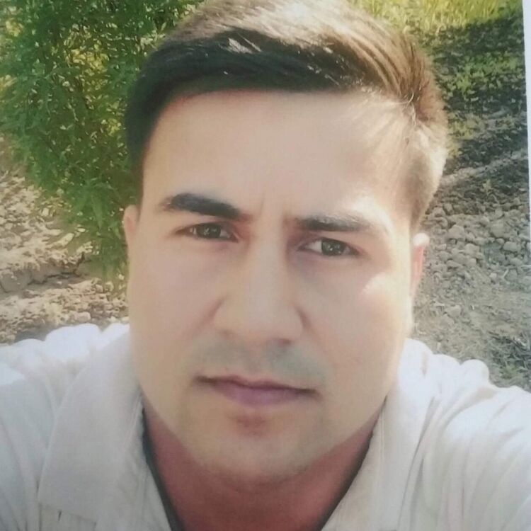  49339773  , 35 ,    