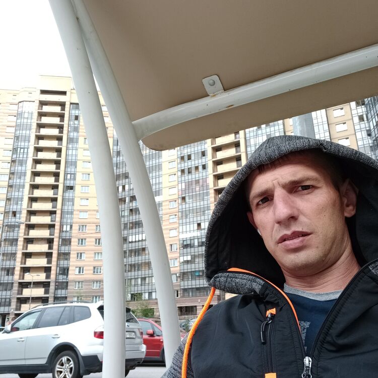 ���� 41088413 ������� ����, 38 ���, ���� ���������� � �����-����������