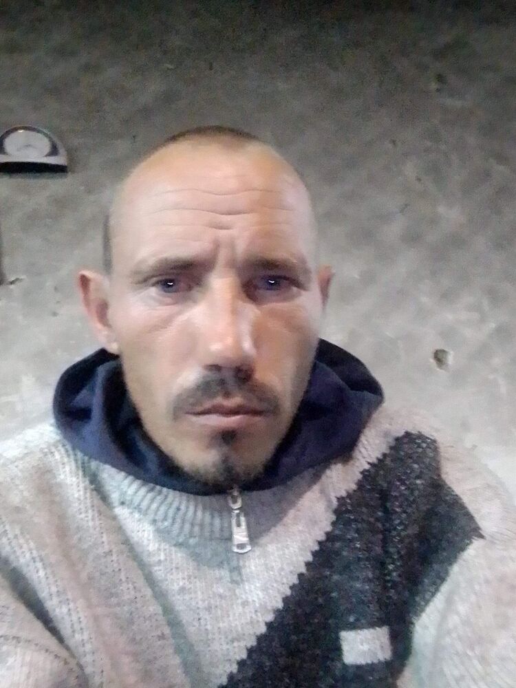  43538913  , 36 ,    