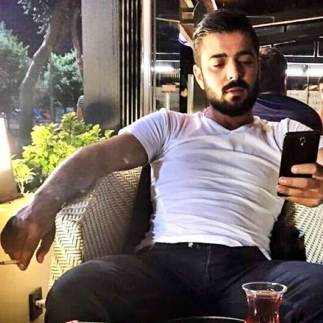  33377713  , 44 ,    