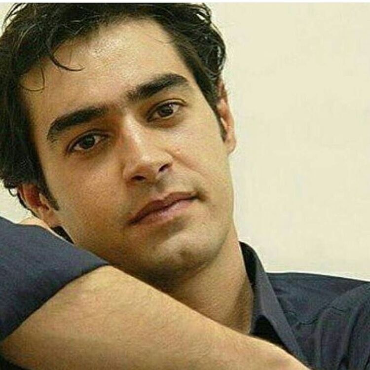 ���� 43952423 ������� Safron, 26 ���, ���� ���������� � ������