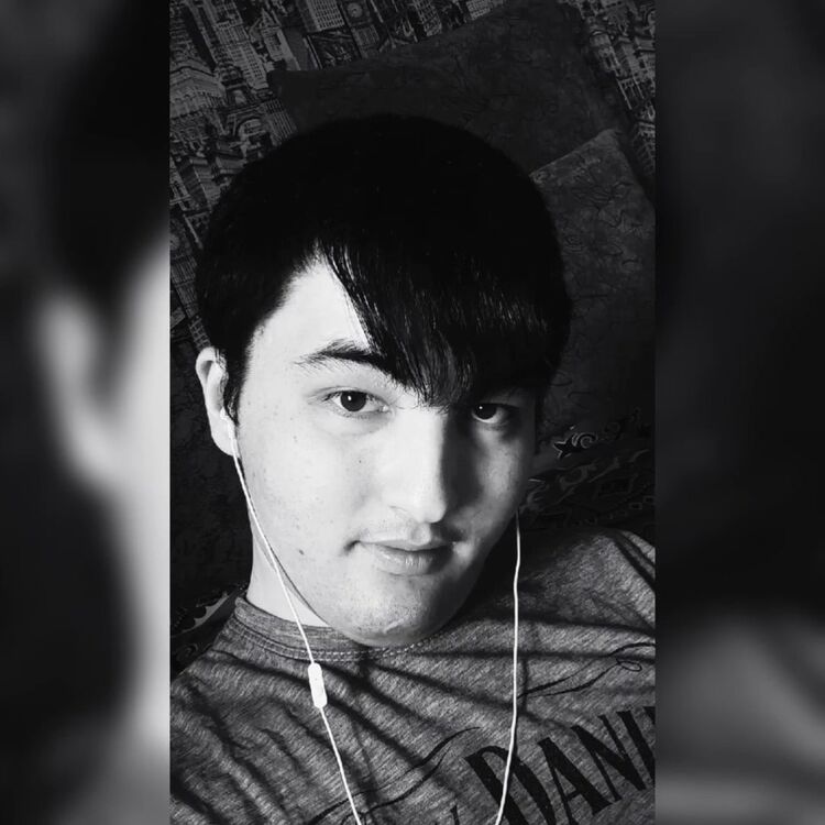 ���� 26831303 ����� �����, 24 ����, ���� ���������� � ��������