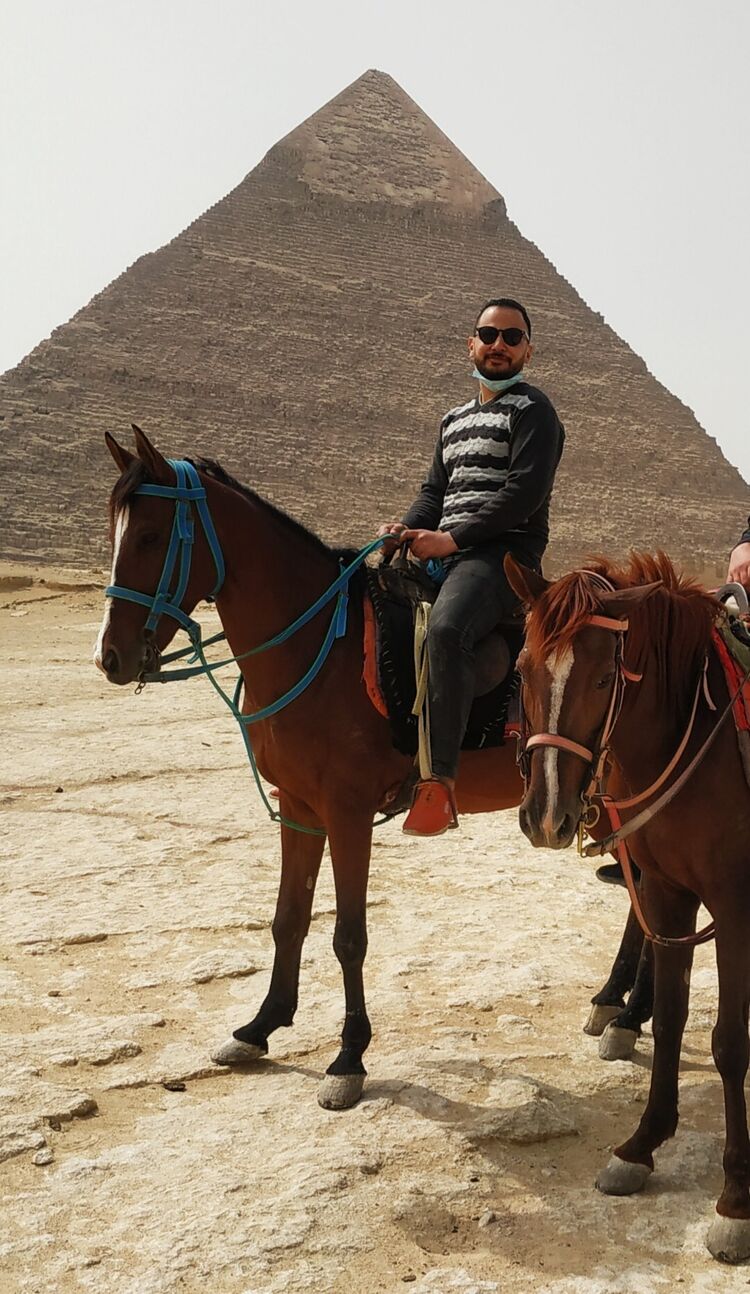  42097523  , 30 ,    Al Ghardaqah