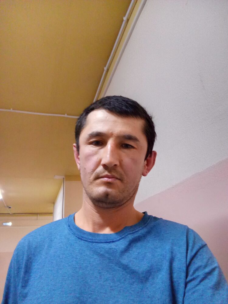 ���� 50017383 ������� �����, 32 ����, ���� ���������� � ������