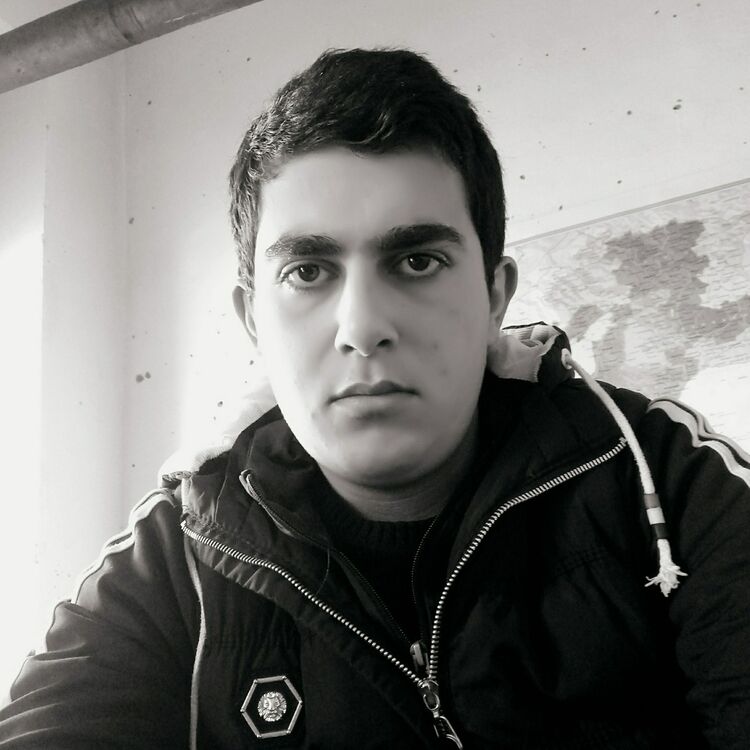  17562463  Pargev, 25 ,    