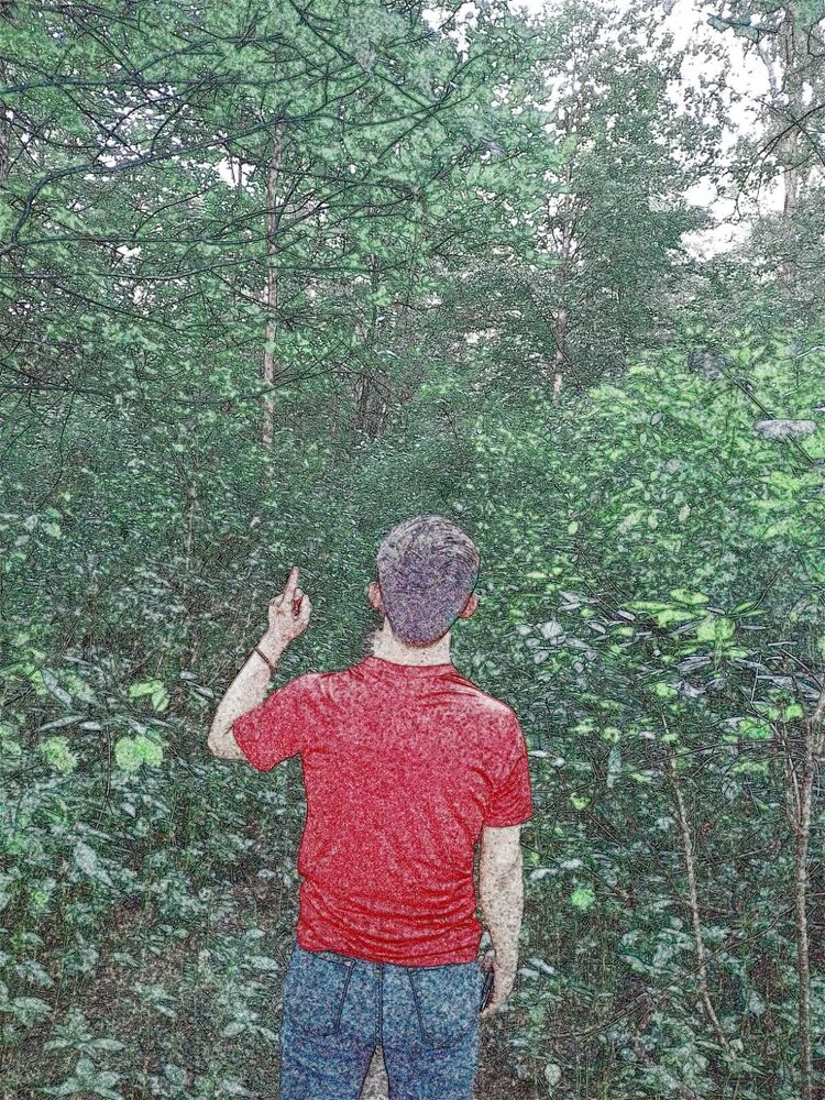  41963143  aler, 28 ,    