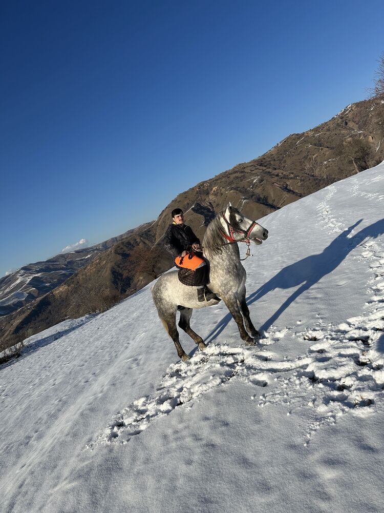 ���������� ������, ���� ����� �������, 25 ���, ������������ ��� ������, ����� � ���������