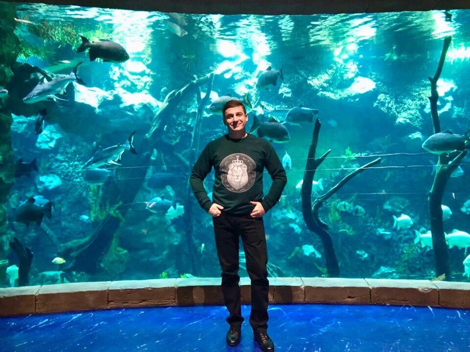  45536973  , 47 ,    -