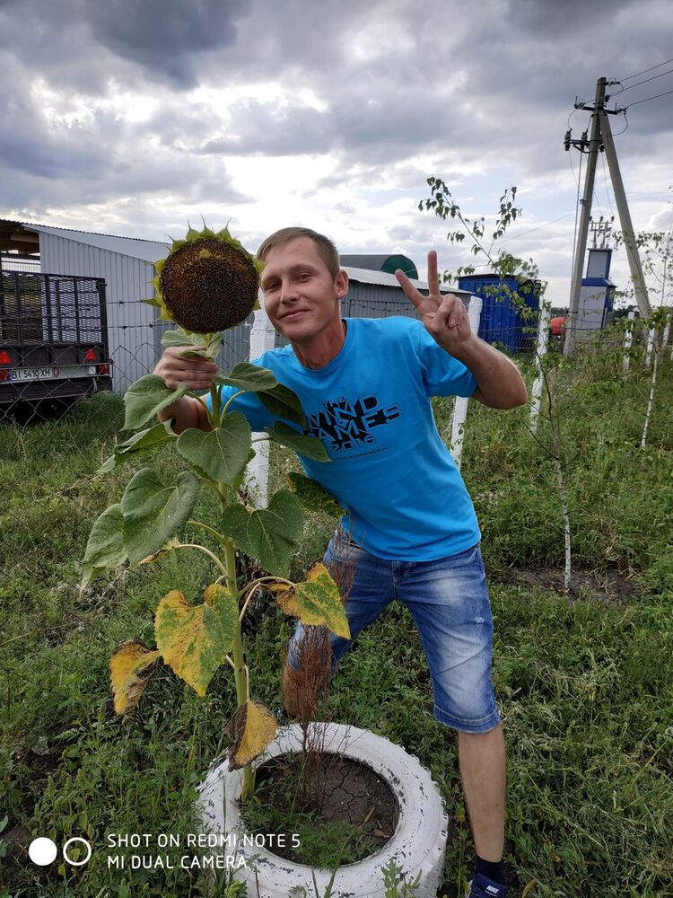 ���� 17209293 ������� �������, 38 ���, ���� ���������� � ��������