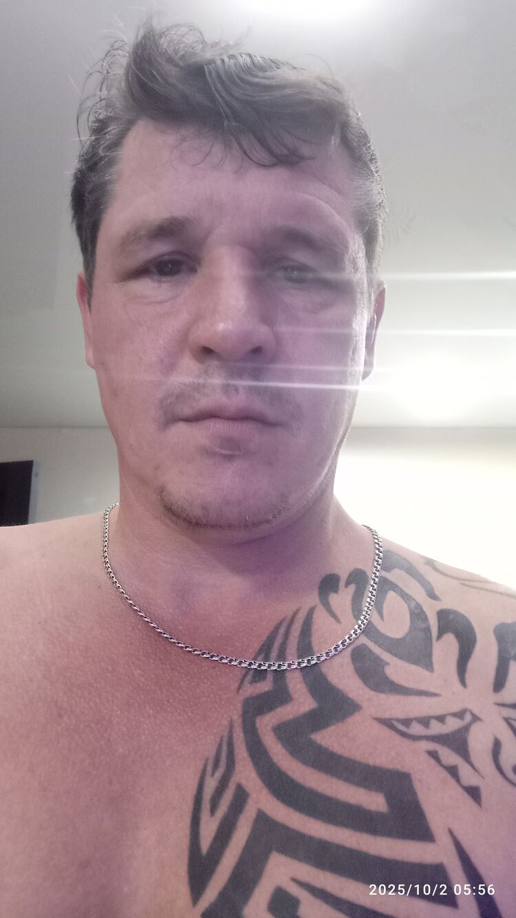  53911393  , 45 ,    