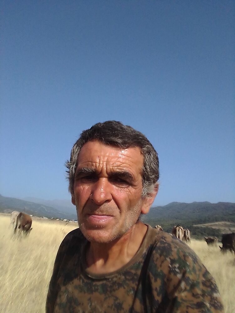  29310343  , 59 ,    