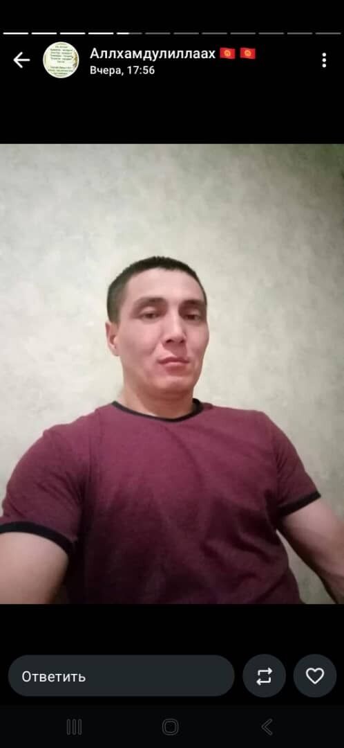 ���� 55660133 ������� �������, 42 ����, ���� ���������� � �������