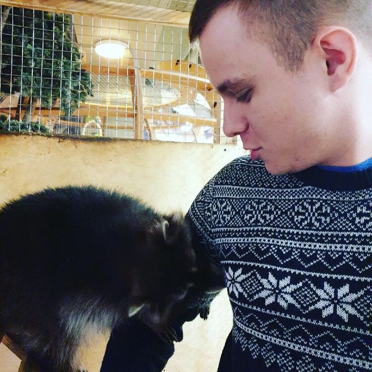 ���� 25776123 ������� Gomer, 30 ���, ���� ���������� � ������