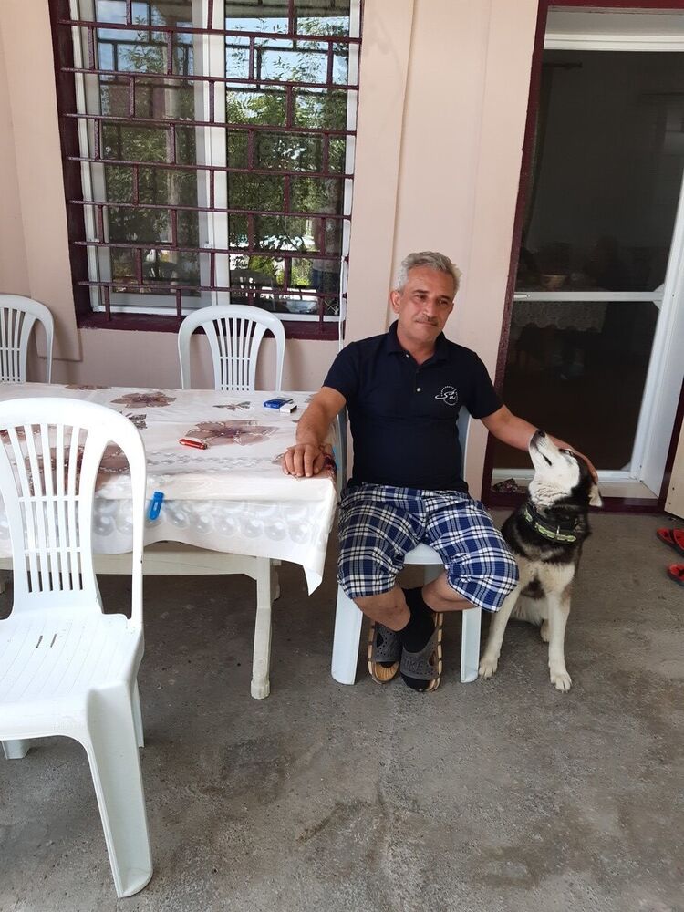 ���������� ����, ���� ������� ����, 57 ���, ������������ ��� ������, ����� � ���������, c�������� ���������