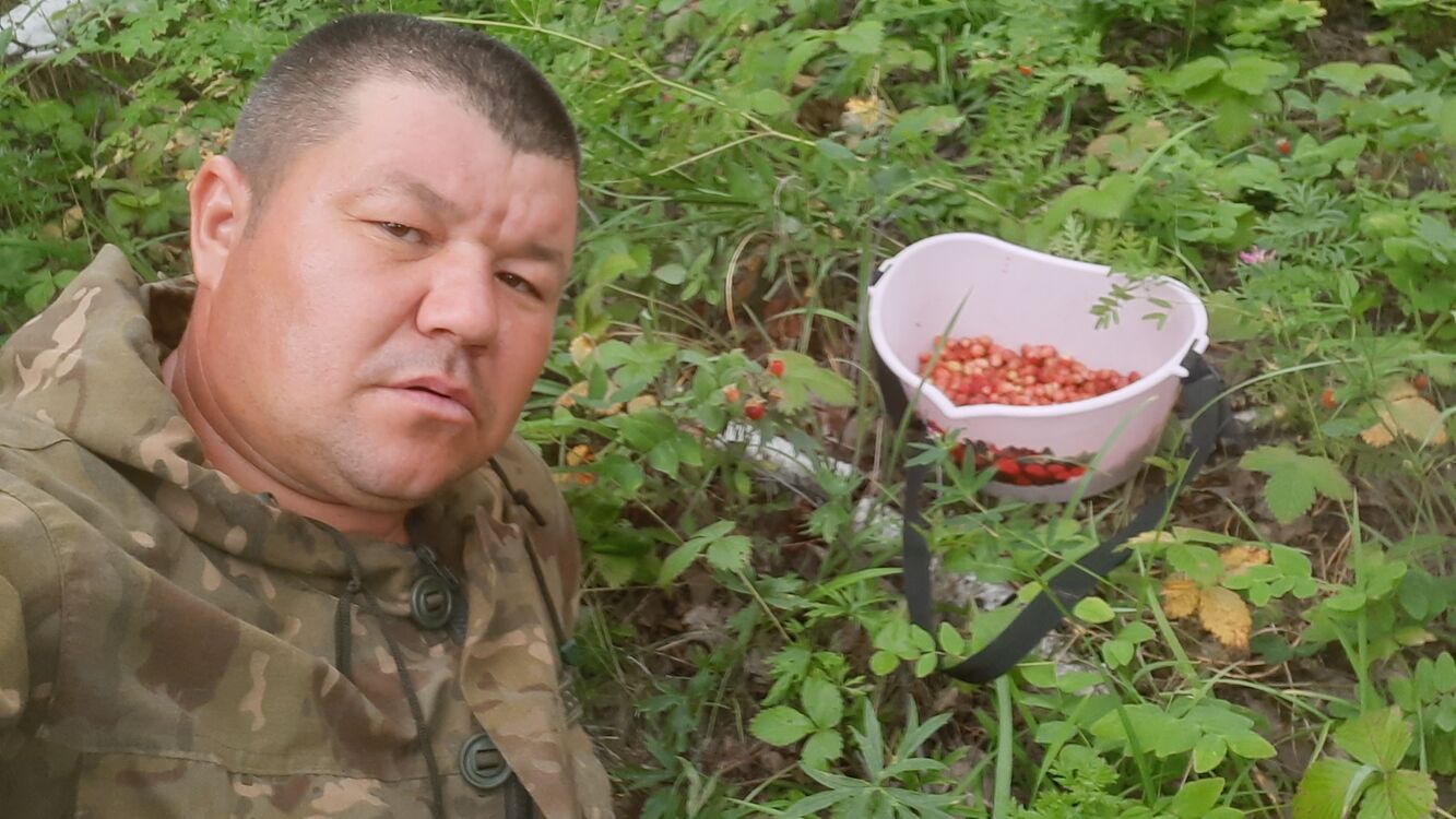 ���� 29551893 ������� �������, 42 ����, ���� ���������� � ����