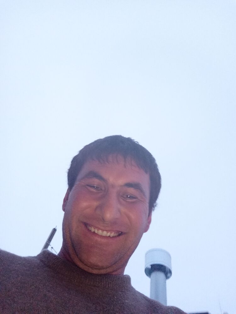 31830833  , 38 ,    