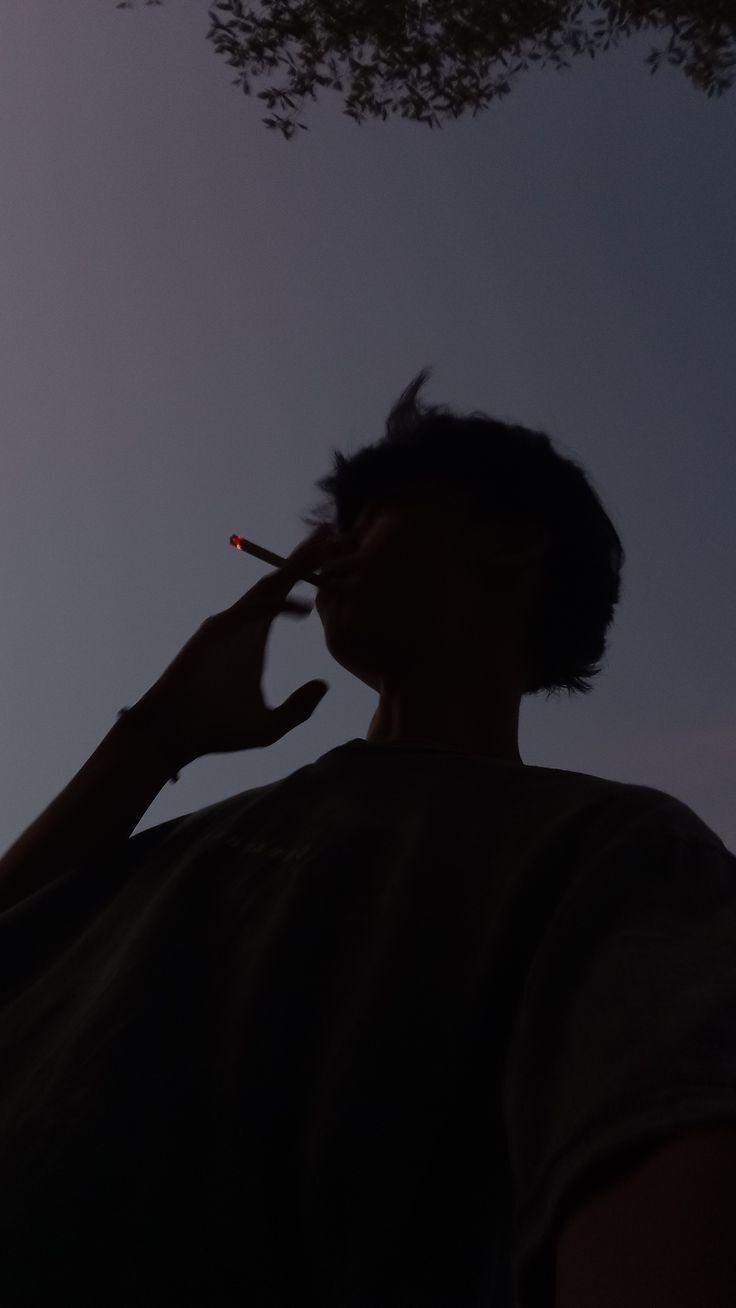  54060763  , 20 ,    