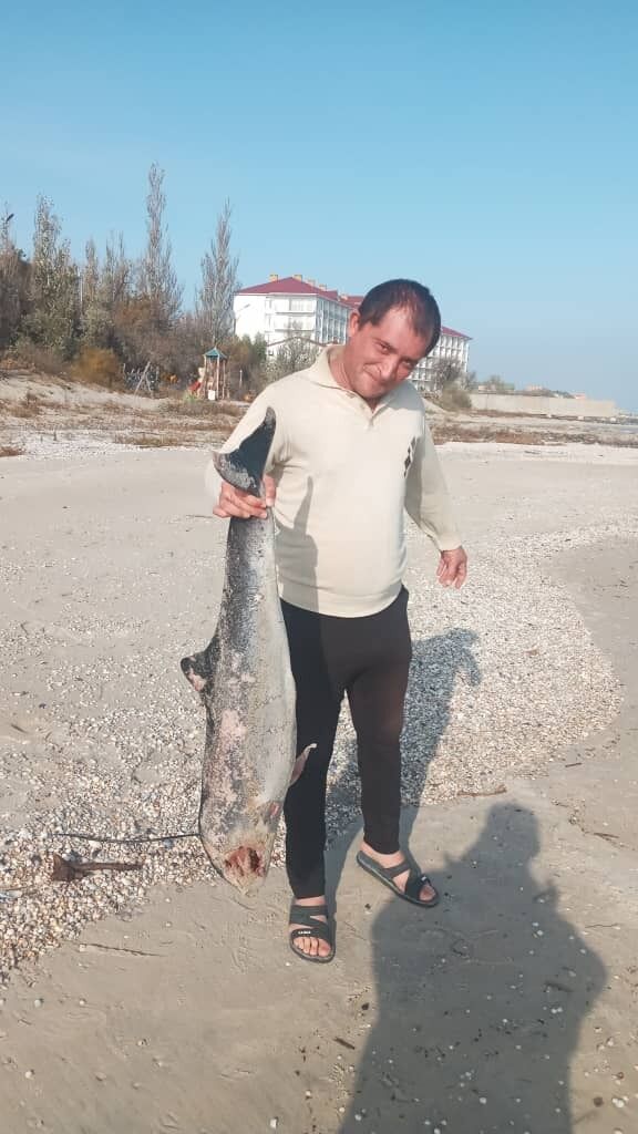 ���������� ������, ���� ������� Ikram, 40 ���, ������������ ��� ������, ����� � ���������