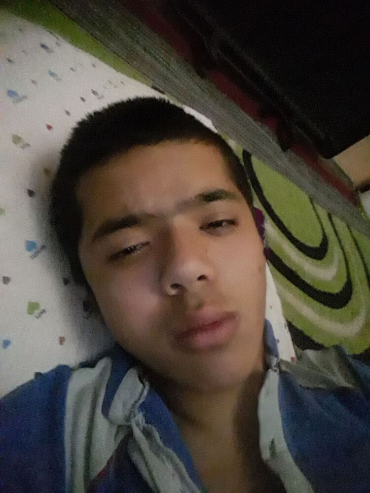  51695883  , 20 ,    